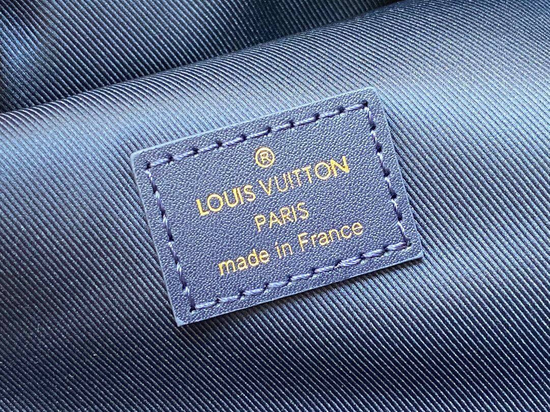 Louis Vuitton Backpack