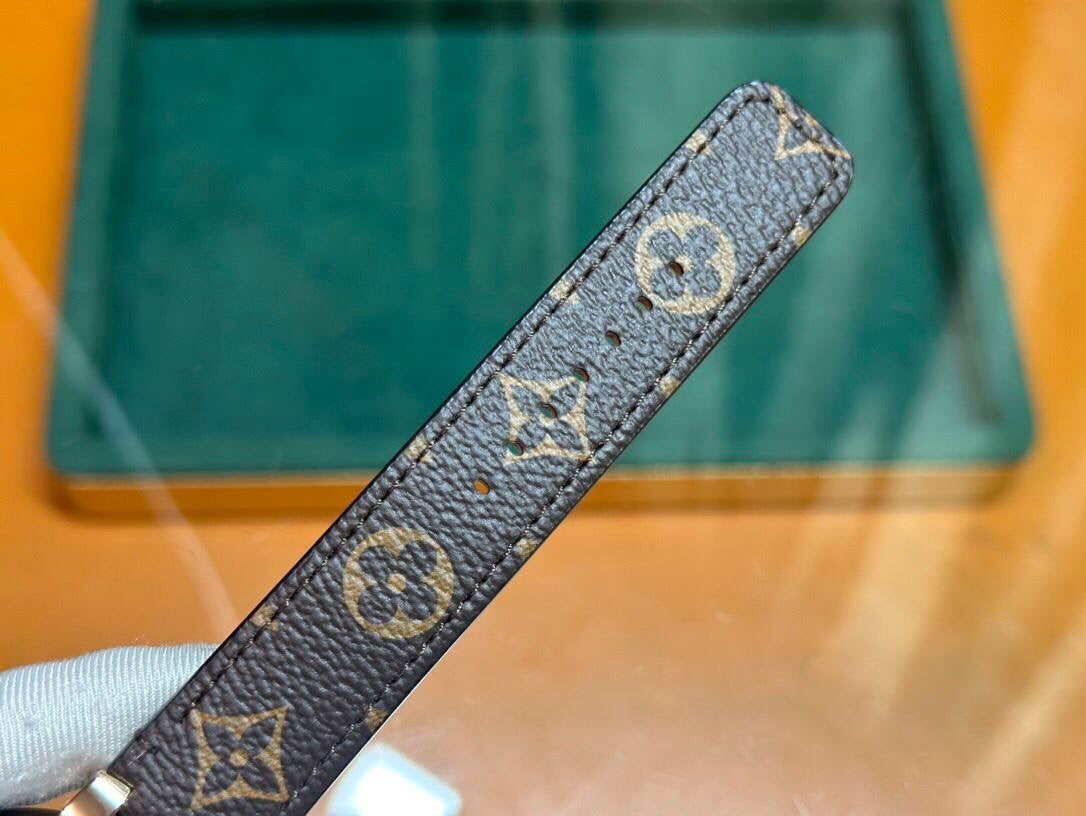 Louis Vuitton Canvas Automatic