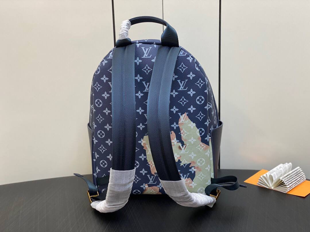 Louis Vuitton Backpack