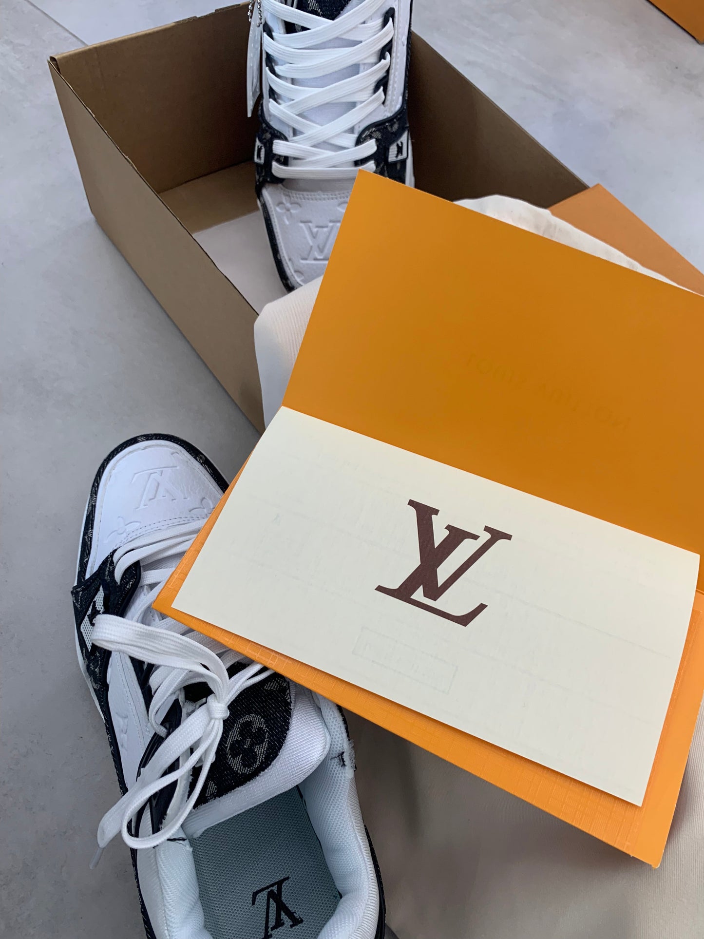 Louis Vuitton Sneaker Trainers