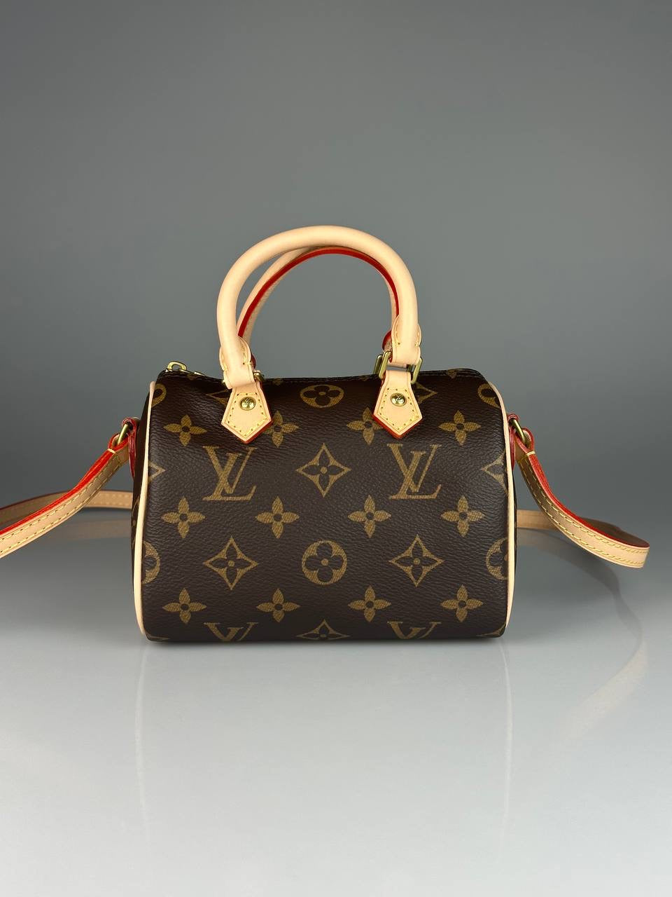 Lv Bags