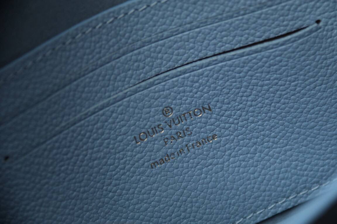 Lv Bags
