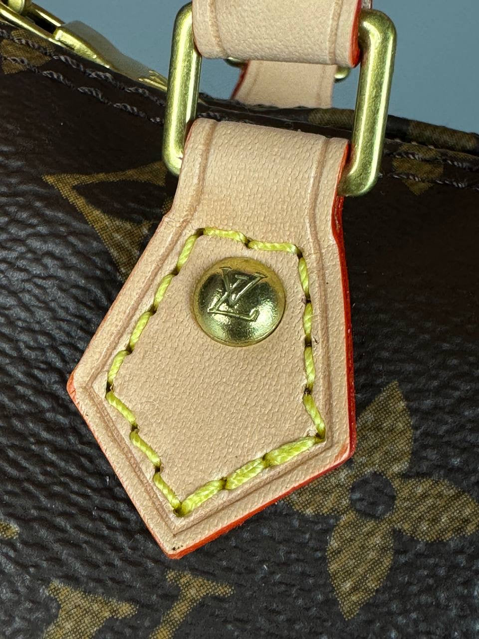 Lv Bags