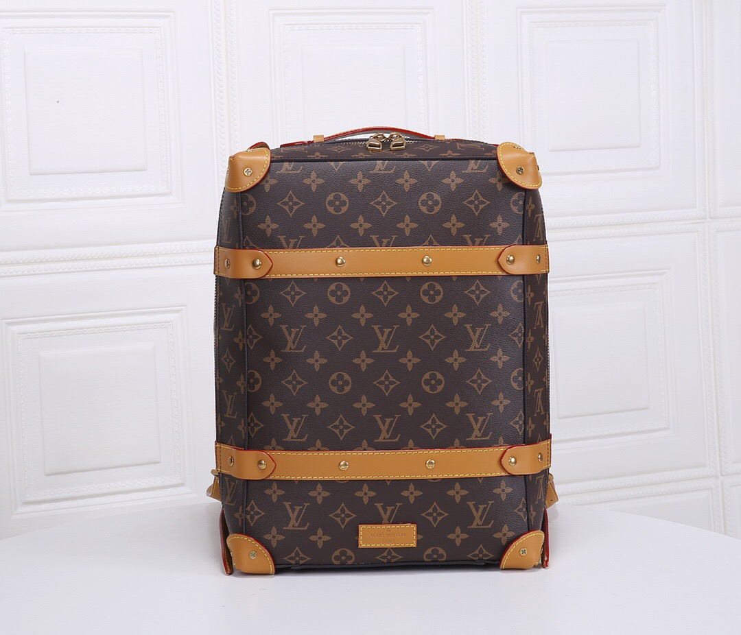 Louis Vuitton Backpack