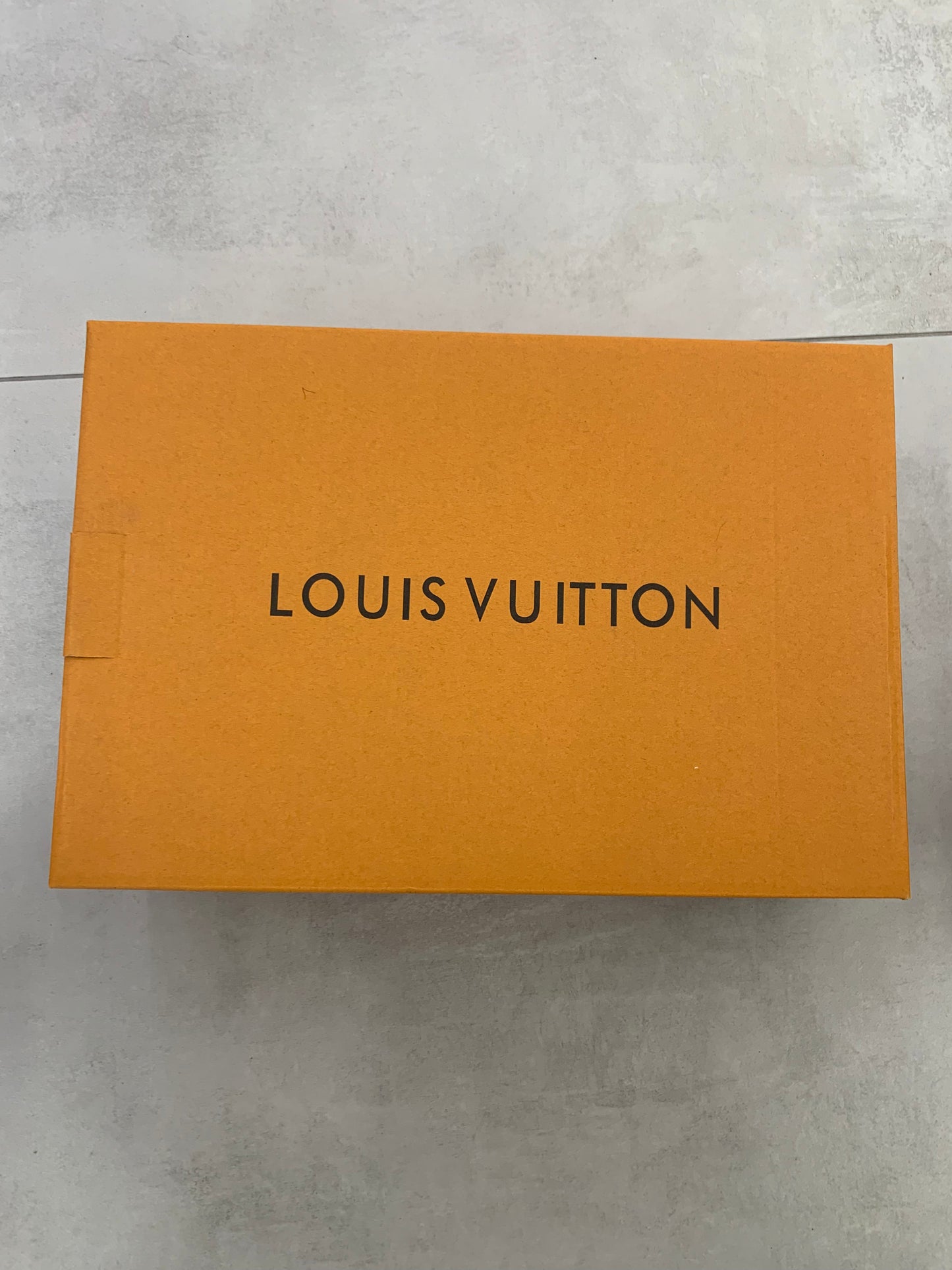 Louis Vuitton Sneaker Trainers