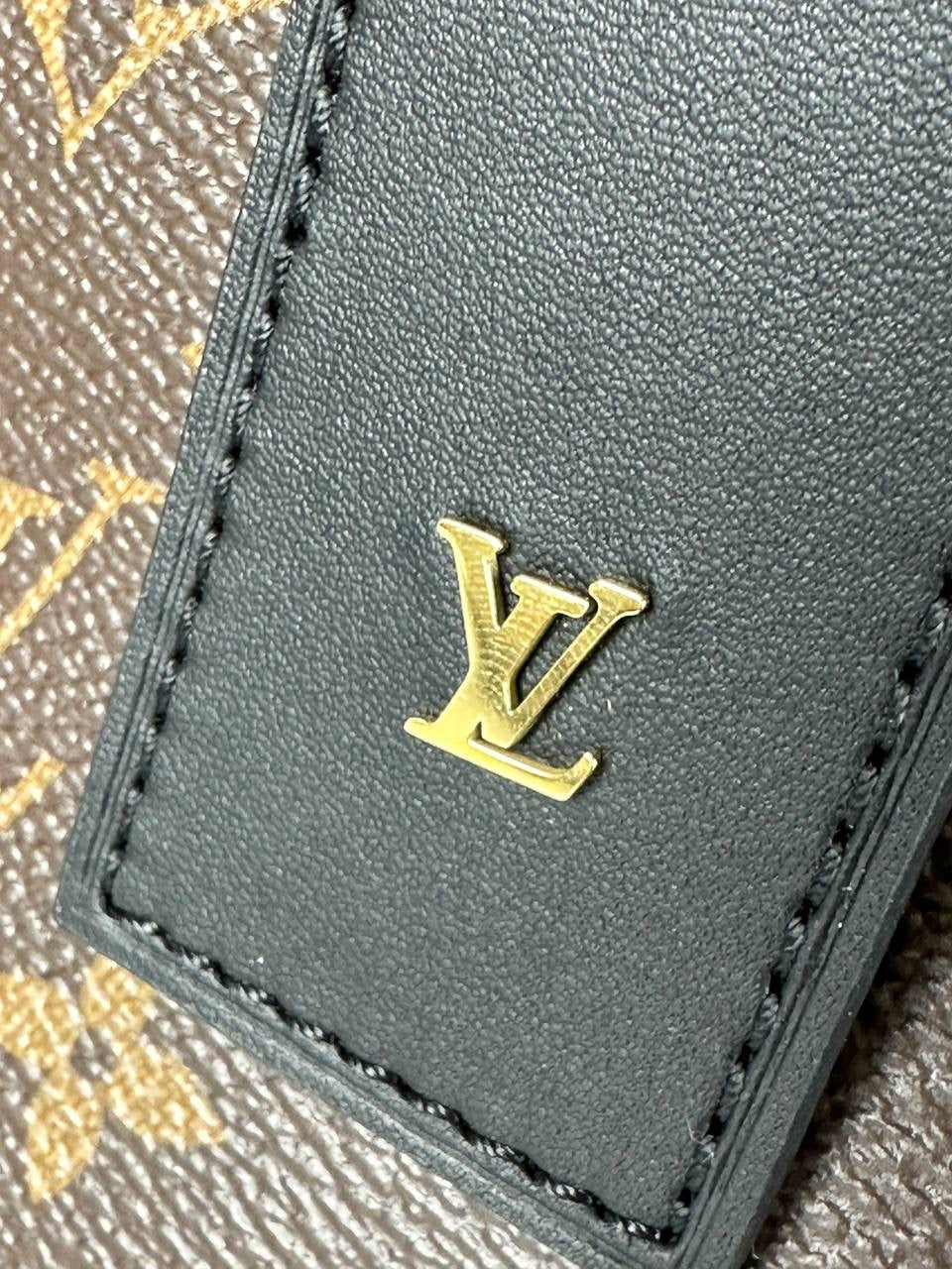 Lv Bags