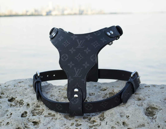 Louis Vuitton Harness