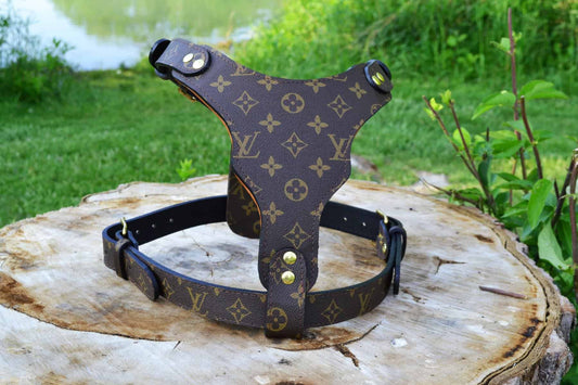 Louis Vuitton Harness