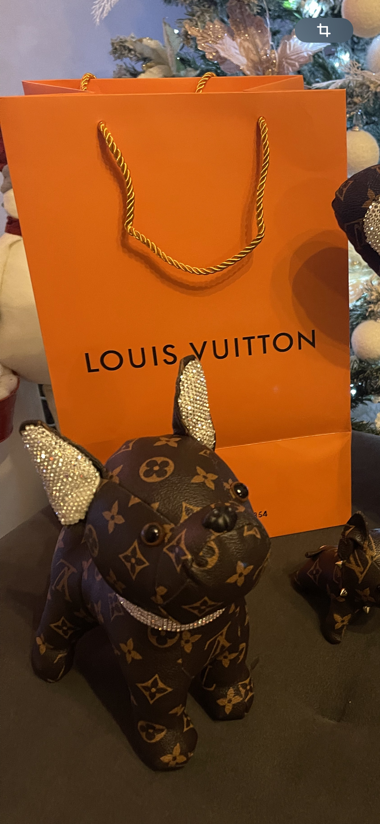 Louis Vuitton Big Bulldog