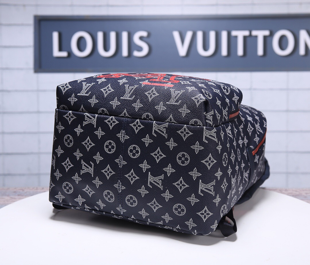 Louis Vuitton Backpack